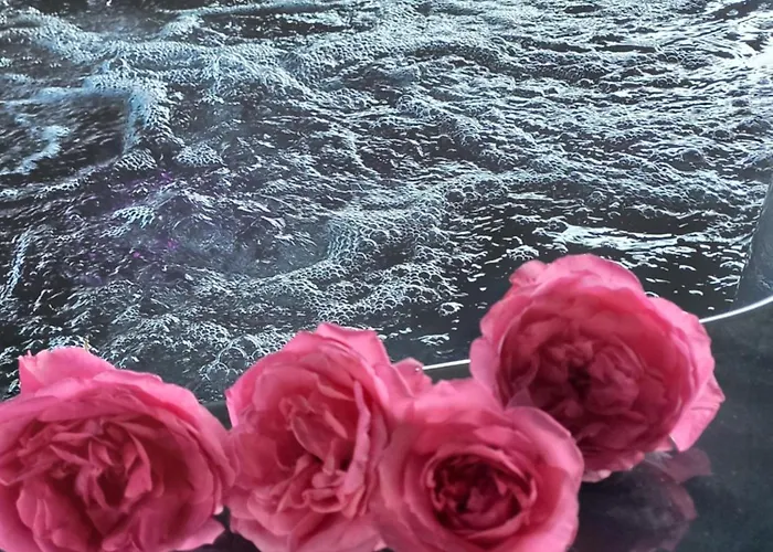 Chalet Drewniany Simonka *